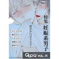 Qpa Vol.35 妊娠系男子~愛がれば大丈夫!