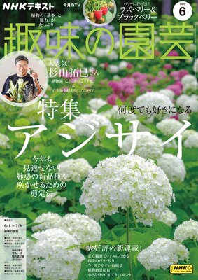 NHK ��̣�α�� 2025ǯ6���