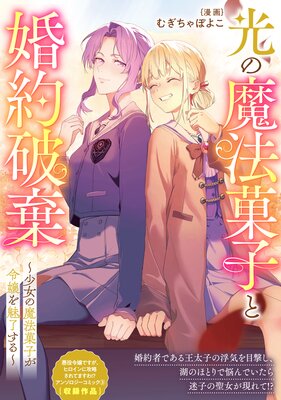光の魔法菓子と婚約破棄〜少女の魔法菓子が令嬢を魅了する〜