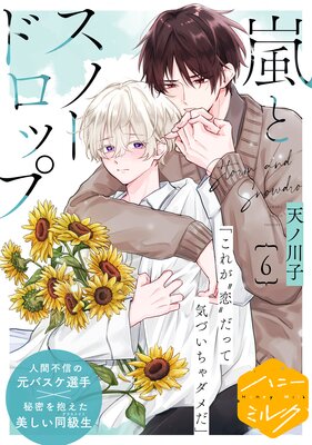 ��ȥ��Ρ��ɥ��å� ʬ���� 6��