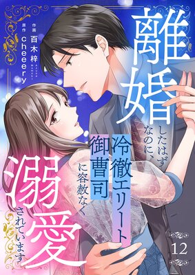 離婚したはずなのに、冷徹エリート御曹司に容赦なく溺愛されています12
