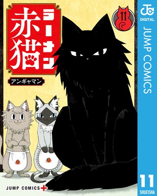 �顼�����ǭ 11