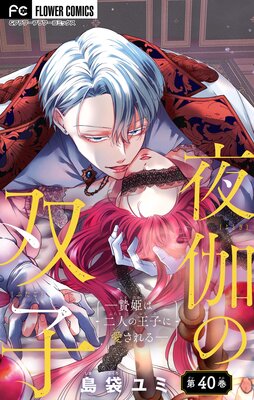 夜伽の双子―贄姫は二人の王子に愛される―【マイクロ】 40