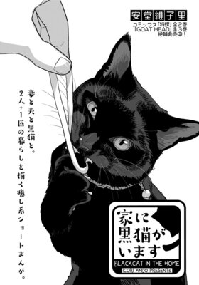 家に黒猫がいます<連載版>8−9話 黒猫と薄毛