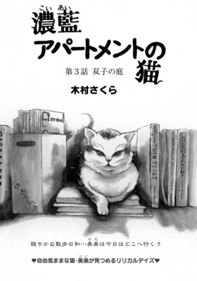 ǻ�����ѡ��ȥ��Ȥ�ǭ��Ϣ���ǡ�3�� �лҤ���