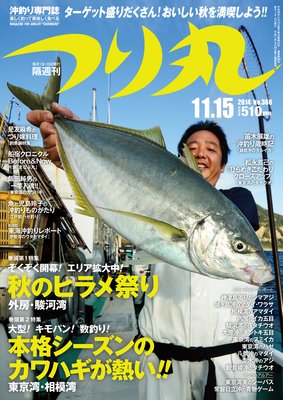 �Ĥ�� 2014ǯ 11��15���ɽ��