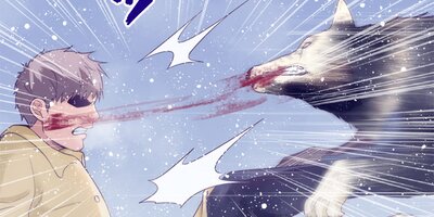 ������̴�� 17�áڥե륫�顼��