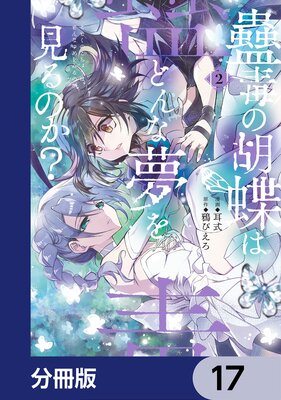 ���Ǥθ�ĳ�Ϥɤ��̴�򸫤�Τ�����ʬ���ǡ� 17