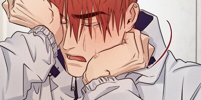 HIGH CLEAR�������Υϡ��Ȥ˥����å���37�áڥե륫�顼��