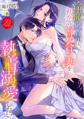 美貌の冷徹宰相閣下はワケあり令嬢を溺愛して手放さない 美貌の冷徹宰相閣下はワケあり令嬢を溺愛して手放さない（最新刊