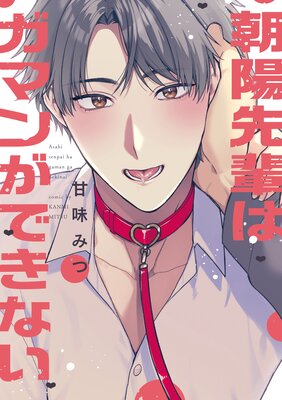 溺愛シークレットラバー 【特別描き下ろし漫画付き】 |入海アオ