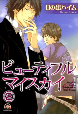 �ӥ塼�ƥ��ե�ޥ���������ʬ���ǡ� ����2�á�