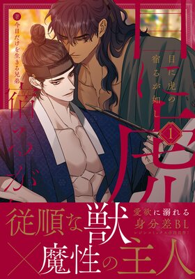 目に虎の宿るが如し 今日だけを生きる兄弟トレカ ラキドロ　7枚セット Amazon.co.jp: 目に虎の宿るが如し 今日だけを生きる兄弟トレカ