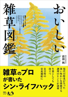 ������������޴դ�ɽ��