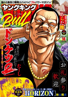 ヤングキングBULL 2025年14号