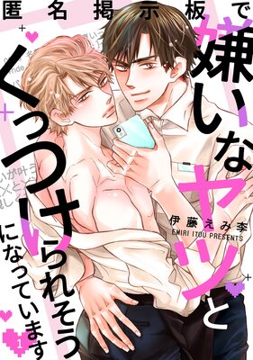 匿名掲示板で嫌いなヤツとくっつけられそうになっていますの表紙