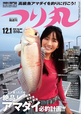 �Ĥ�� 2014ǯ 12��1���ɽ��