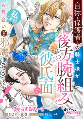 自称・保護者の騎士様が後方腕組み彼氏面で私（聖女）のお見合いを邪魔してきます！の表紙