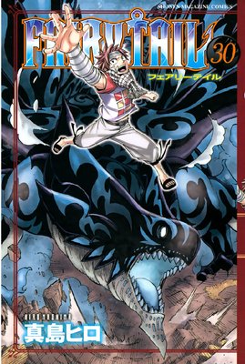 FAIRY TAIL 30