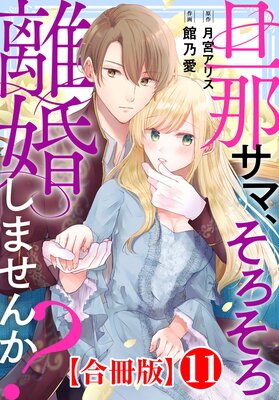 旦那サマ、そろそろ離婚しませんか?【合冊版】11