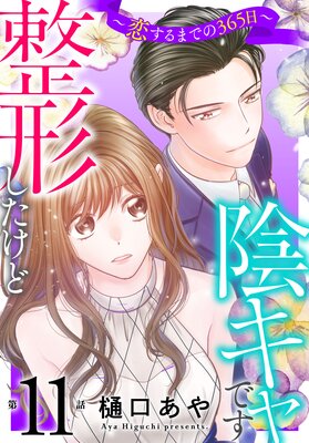 �����������ɱ�����Ǥ���������ޤǤ�365����11