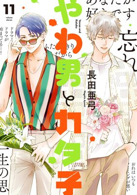 Amazon.co.jp: やわ男とカタ子 9 (フィールコミックス) : 長田