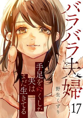 バラバラ夫婦~手足をなくした夫はまだ生きてる17