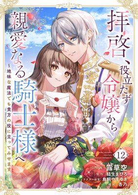 拝啓、役立たず令嬢から親愛なる騎士様へ~地味な魔法でも貴方の役に立ってみせます12
