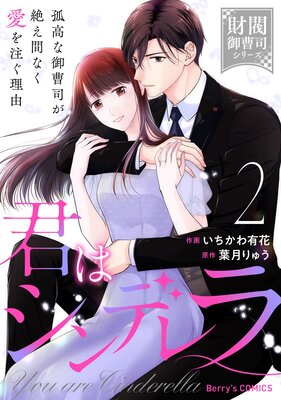 君はシンデレラ〜孤高な御曹司が絶え間なく愛を注ぐ理由〜【財閥御曹司シリーズ】2巻