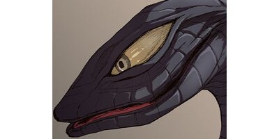 ��ؤ˲Ǥ���̼�ڥ��ƥ����� Chapter37�ڥե륫�顼��