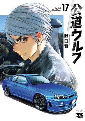 ��ƻ����� 17