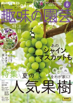 NHK ��̣�α�� 2025ǯ8���