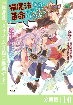 ǭ��ˡ�������˳�̿�򵯤��������Ǥ��衩��ʬ���ǡۡʥΥ������ߥå�����10