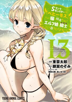 Sランクモンスターの《ベヒーモス》だけど、猫と間違われてエルフ娘の騎士(ペット)として暮らしてます 13