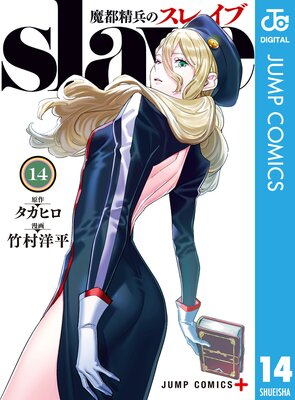 ������ʼ�Υ��쥤�� ���ߥ��顼�� 14