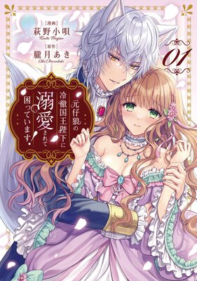 美貌の冷徹宰相閣下はワケあり令嬢を溺愛して手放さない 美貌の冷徹宰相閣下はワケあり令嬢を溺愛して手放さない (乙女