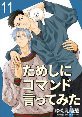 ためしにコマンド言ってみた(分冊版) 【第11話】