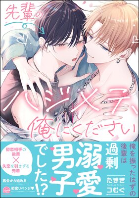 ڤΥϥơˤ ŻҸ̡꤫2Pաۤɽ