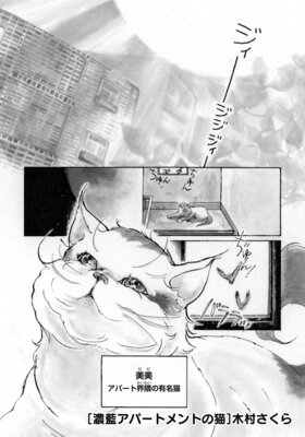 ǻ�����ѡ��ȥ��Ȥ�ǭ��Ϣ���ǡ�4�� ���ޡ����å�