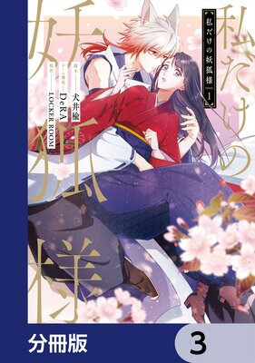 ��������Ÿ��͡�ʬ���ǡ� 3