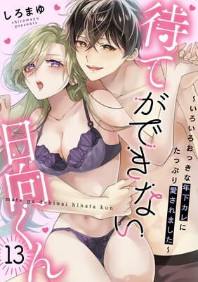 待てができない日向くん〜いろいろおっきな年下カレにたっぷり愛されました〜(13)の表紙