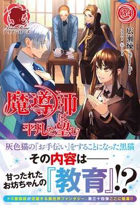 【電子限定版】魔導師は平凡を望む 34