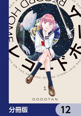 �쥳���ɥۡ����ʬ���ǡ� 12