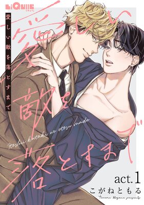 愛しい敵を落とすまでの表紙