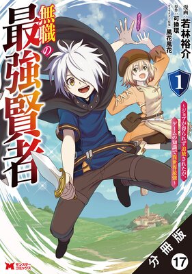 ̵���κǶ����ԡ�����֤�����줺�������줿������������μ��ǰ������Ƕ����ʥ��ߥå��� ʬ���� 17