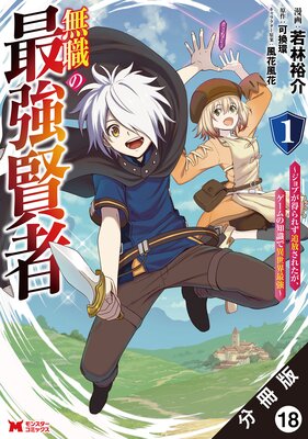 ̵���κǶ����ԡ�����֤�����줺�������줿������������μ��ǰ������Ƕ����ʥ��ߥå��� ʬ���� 18