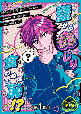 ڥХɤ⤸꿩̤ѡûԡۤɽ