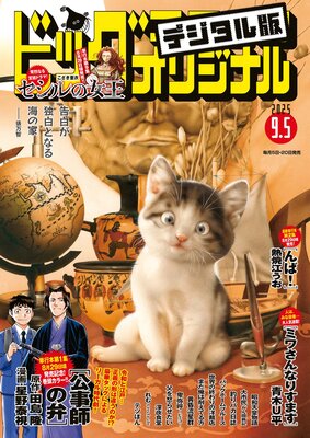 ビッグコミックオリジナル 2025年17号(2025年8月20日発売)