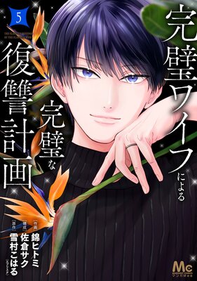 �����磻�դˤ�봰���������ײ� ñ������ 5