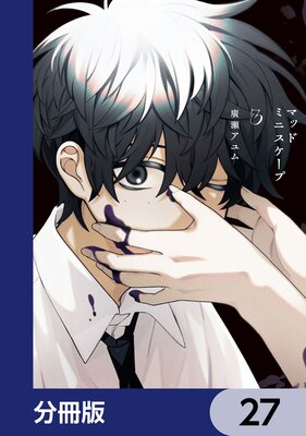 �ޥåɥߥ˥������ס�ʬ���ǡ� 27